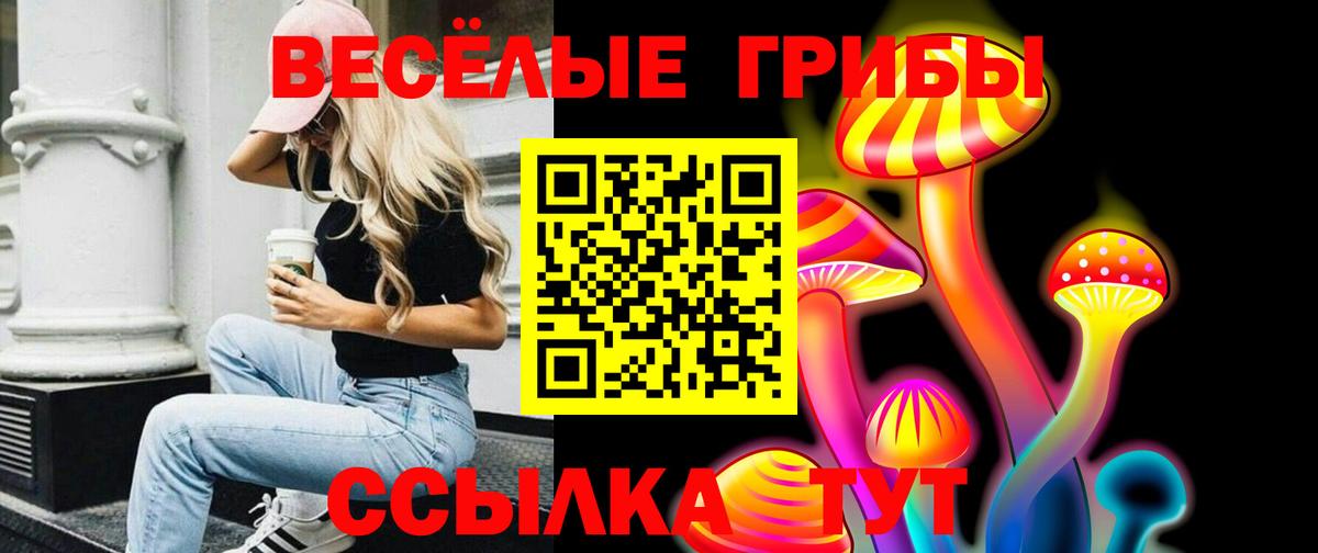 Галлюциногенные грибы Psilocybe  Вход с VPN  Галлюциногенные грибы Psilocybine cubensis  Удомля 